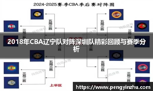 2018年CBA辽宁队对阵深圳队精彩回顾与赛季分析