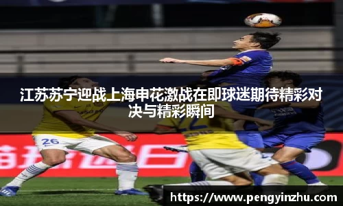 江苏苏宁迎战上海申花激战在即球迷期待精彩对决与精彩瞬间